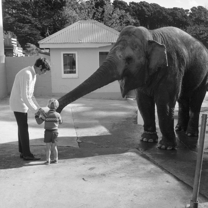 d. Zoo pictures for Councilman