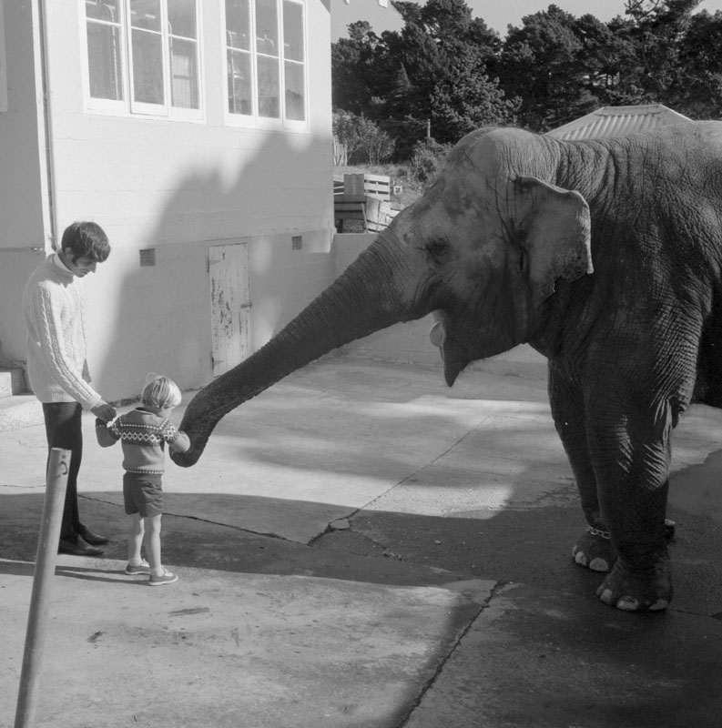 e. Zoo pictures for Councilman