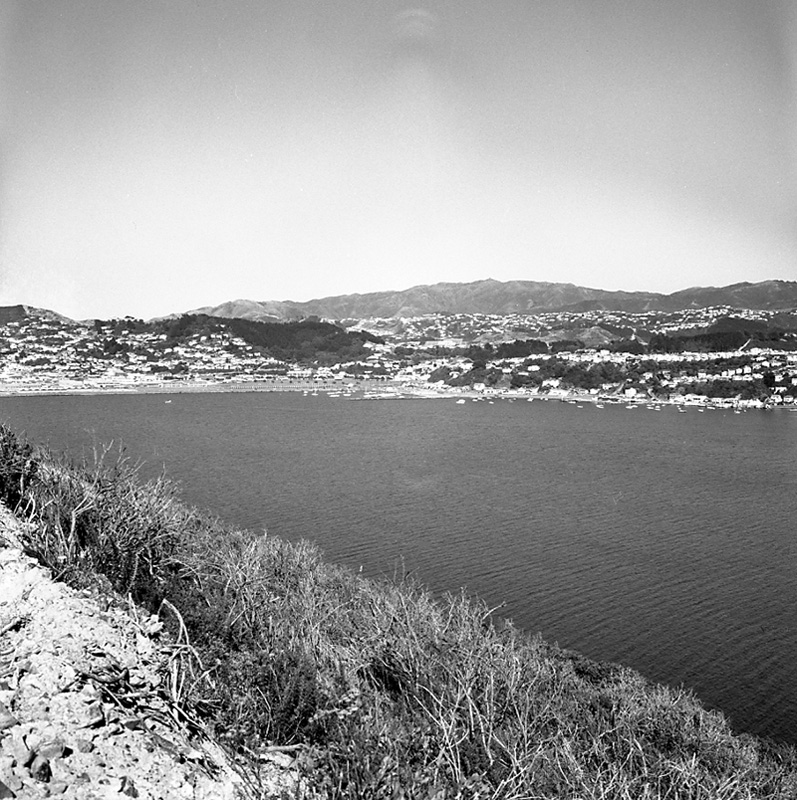 h. Views from Townsend Estate