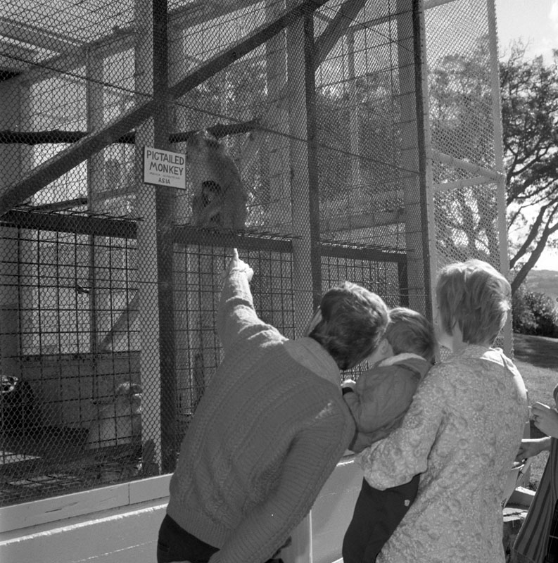 g. Zoo pictures for Councilman