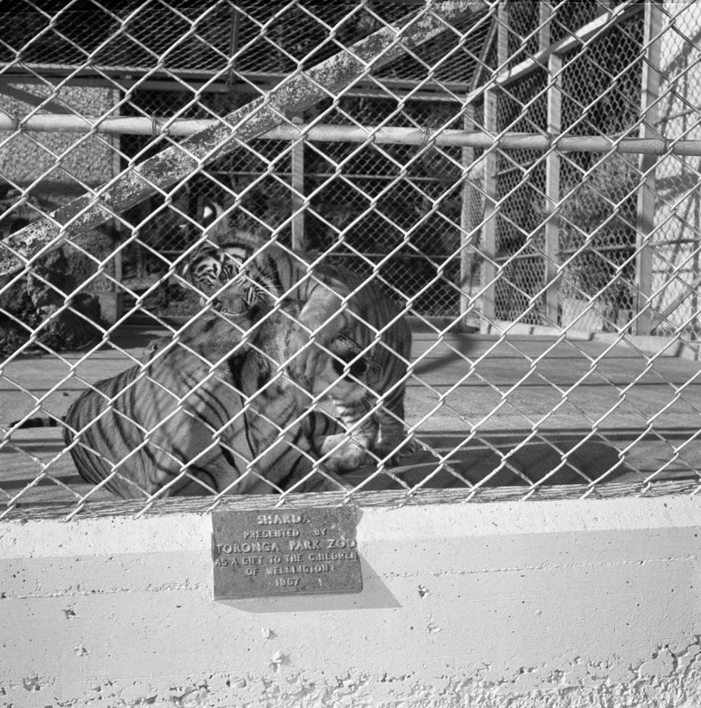 j. Zoo pictures for Councilman