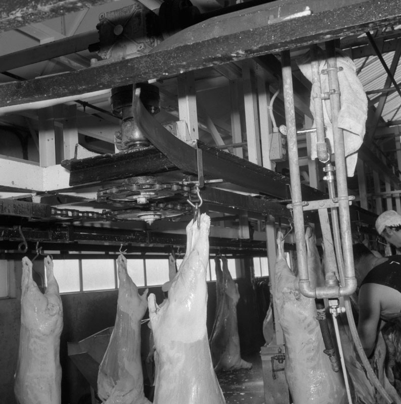 d. Abattoirs, details of conveyor system