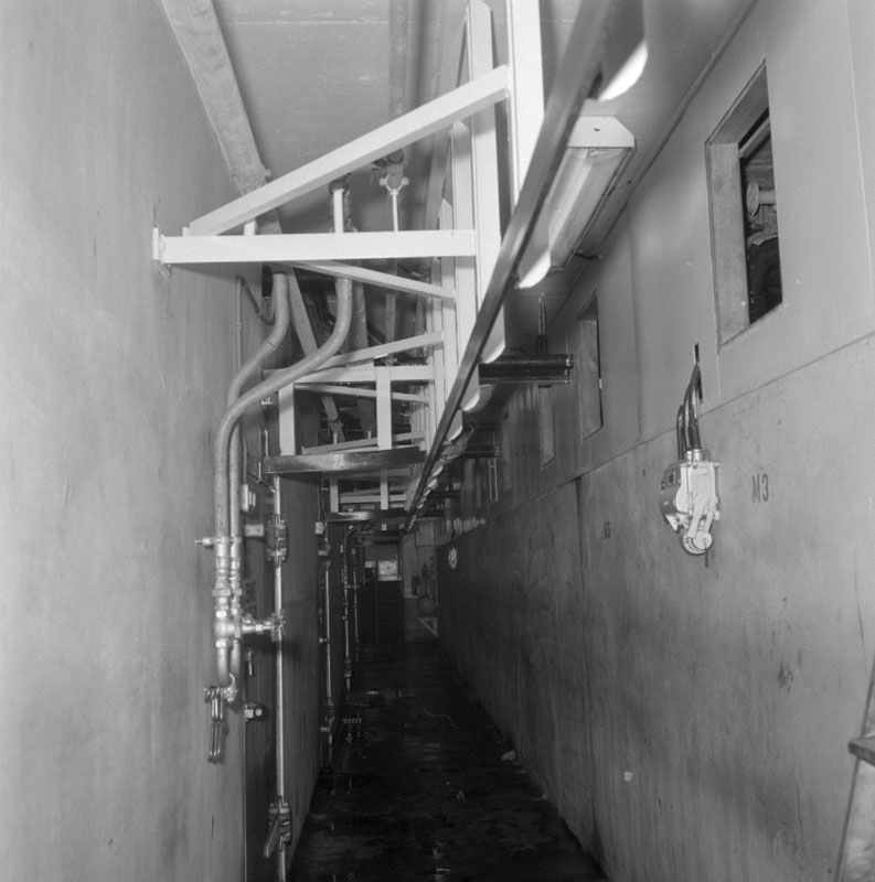 e. Abattoirs, details of conveyor system