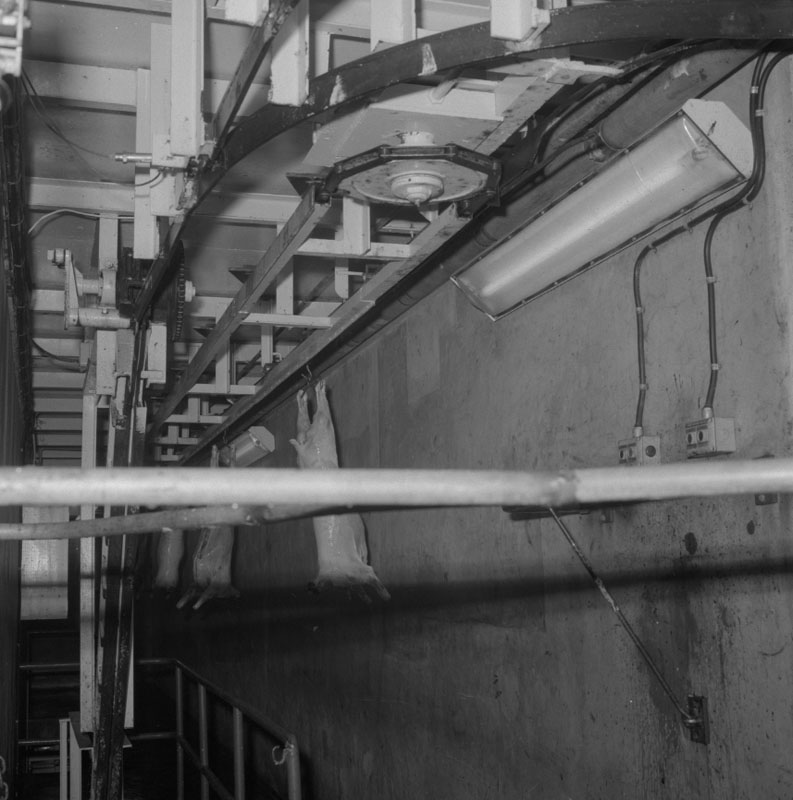 s. Abattoirs, details of conveyor system