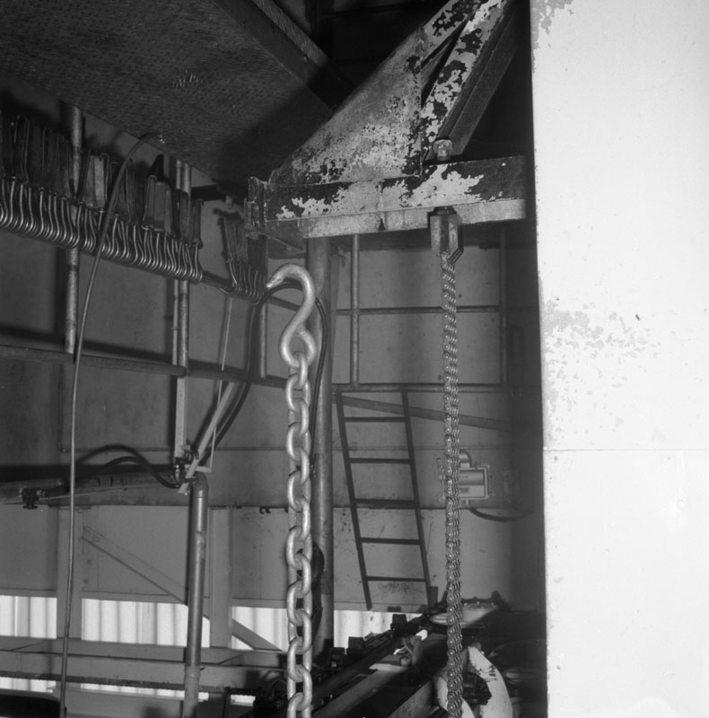 v. Abattoirs, details of conveyor system