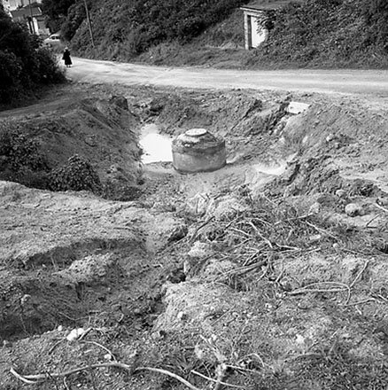 e. Streetscape, Severn Street, Island Bay