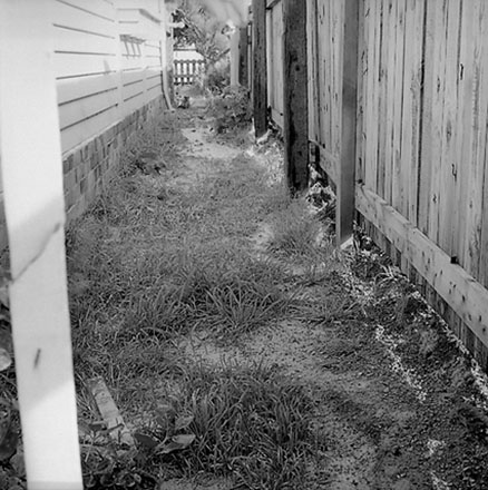 g. Streetscape, Severn Street, Island Bay