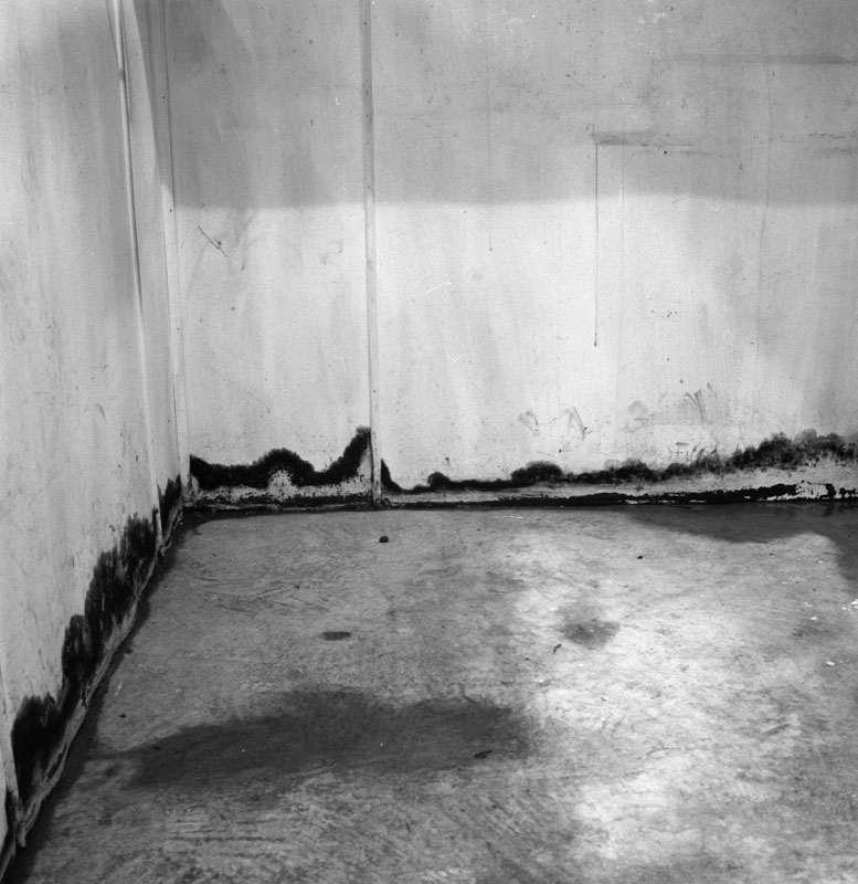 a. No 42 Webb St. sewer flooding from blockage in No 44 Webb St