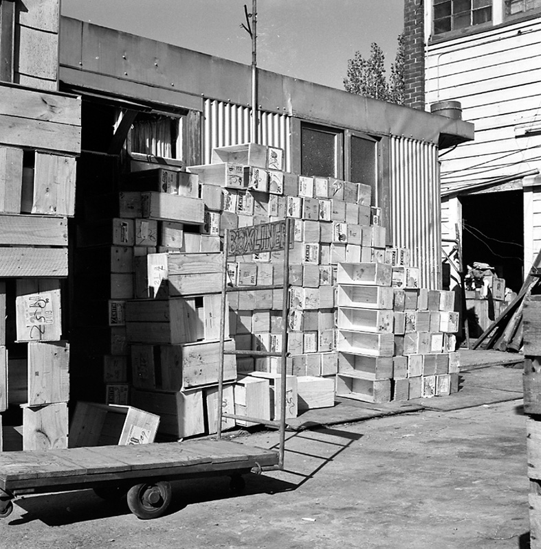 a. Uneeda Fruit Co, no 44 Owen St