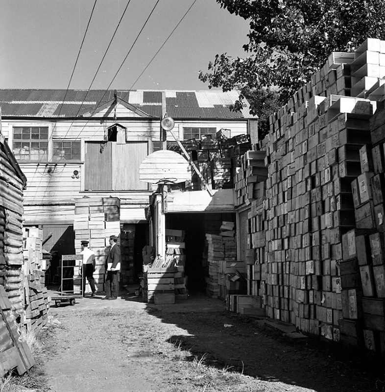 e. Uneeda Fruit Co, no 44 Owen St