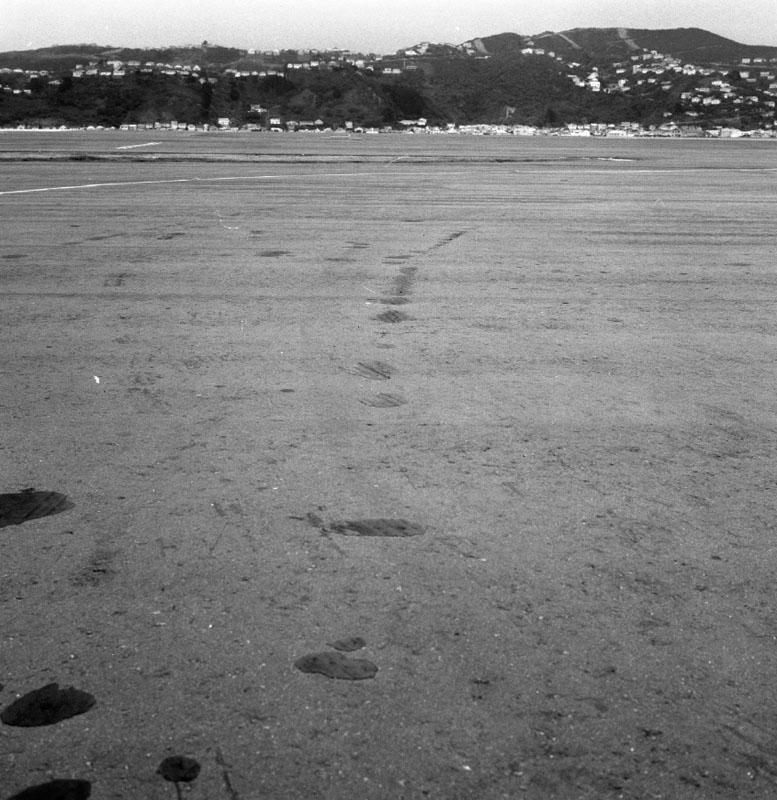 c. Airport, relighting and repaving runway