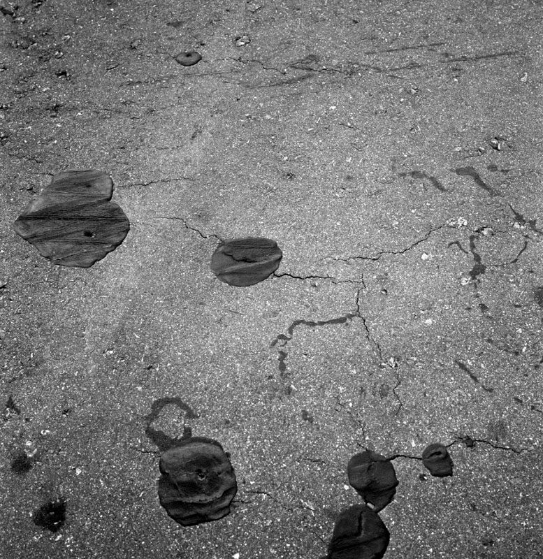 d. Airport, relighting and repaving runway