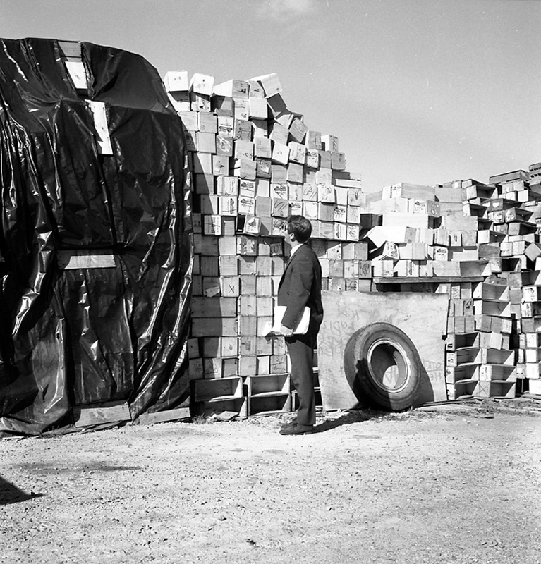 g. Uneeda Fruit Co, no 44 Owen St