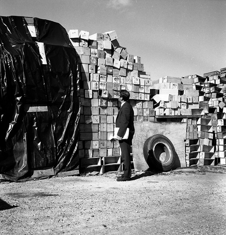 j. Uneeda Fruit Co, no 44 Owen St