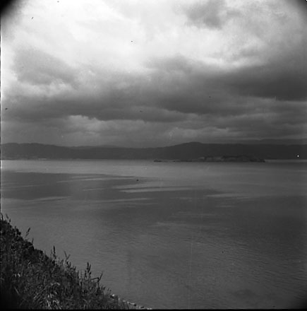 View of Wellington Harbour, Somes Island