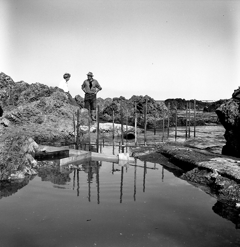 b. Drainage, Elsdon Point Outfall Chamber