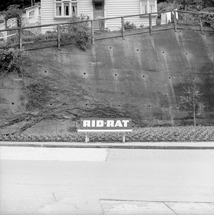 b. Bus Stop Seat, Glenmore Street
