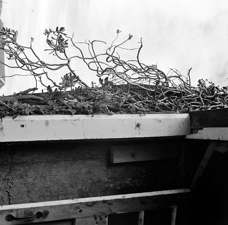 a. No 412 Evans Bay Road, cracked wall facing footpath