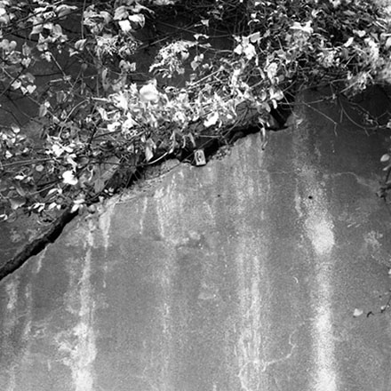 b. Wall, Dixon Street