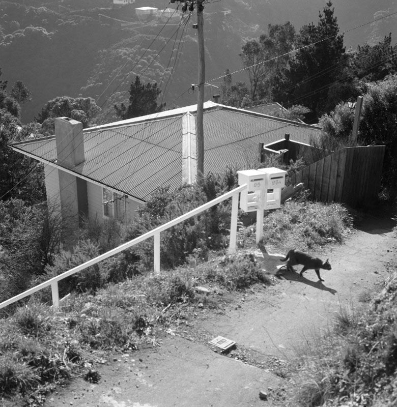 f. Garages and encroachments