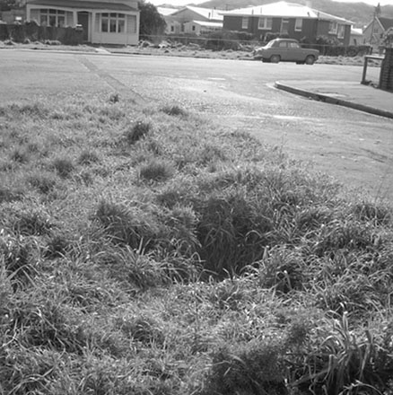 d. Streetscape, Argentine Avenue