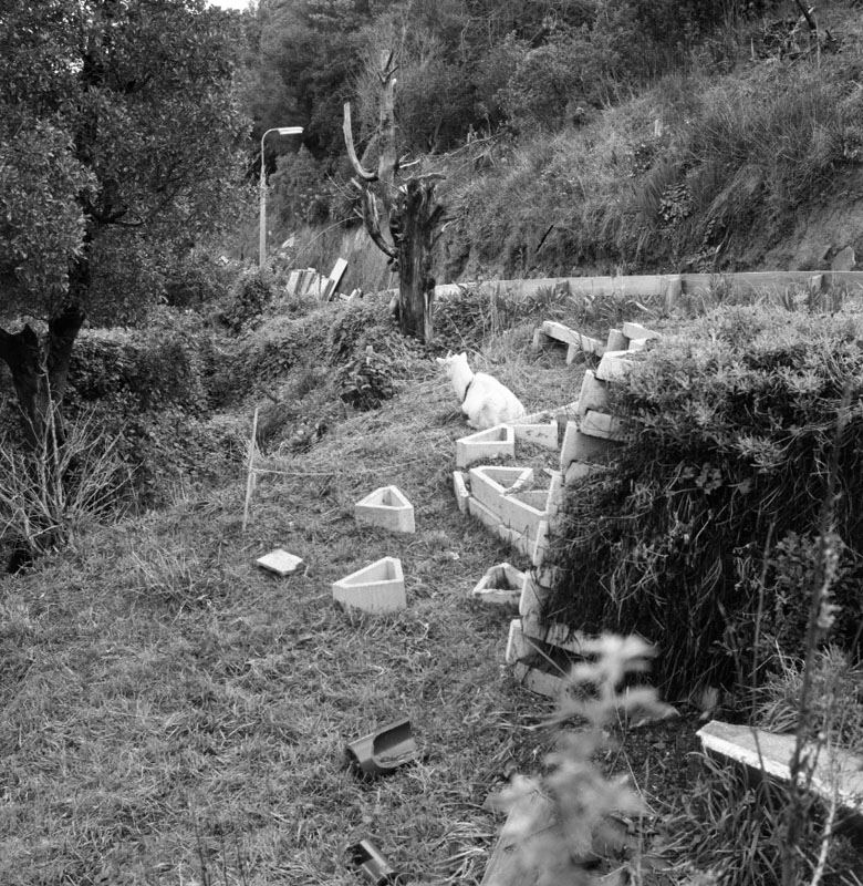 a. No 61 Pretoria Rd, goat tied up on section, Mr M Muir