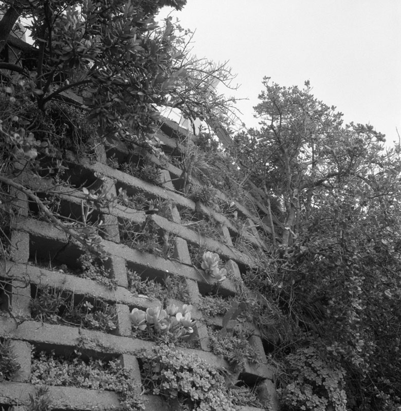 d. McFarlane St, broken handrail