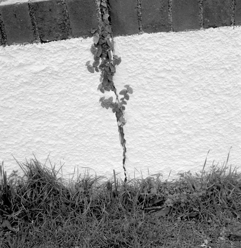 a. No 6 Marsden Avenue, cracked wall