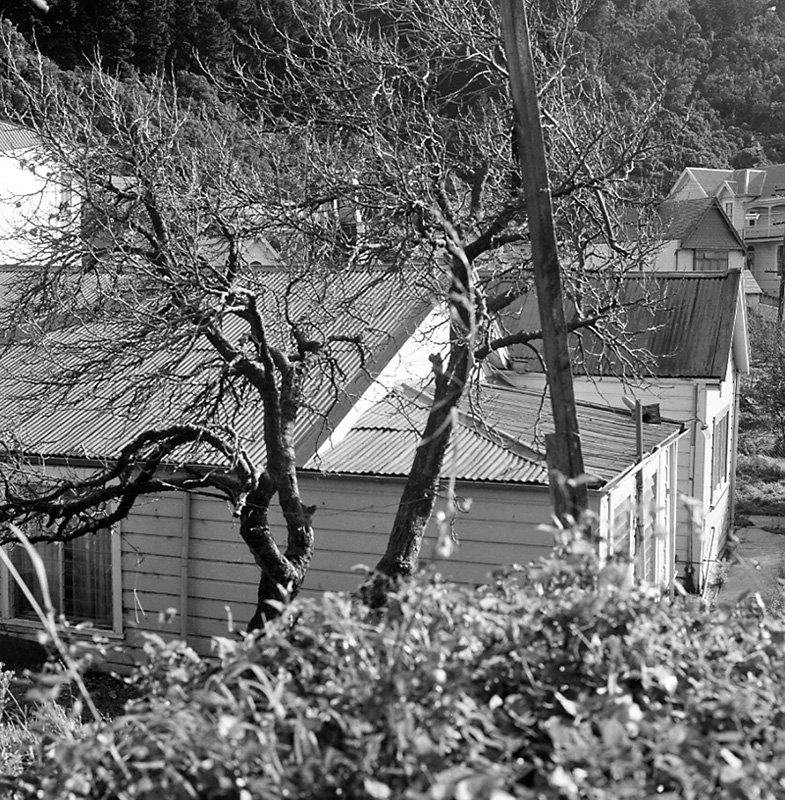 g. Nos 205-207 Tinakori Rd