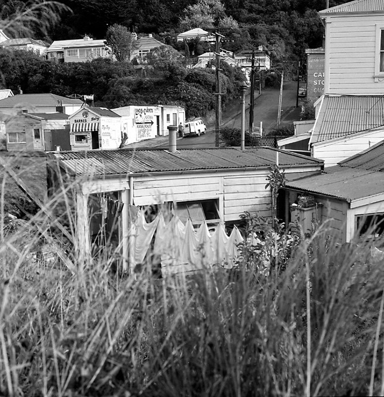 h. Nos 205-207 Tinakori Rd