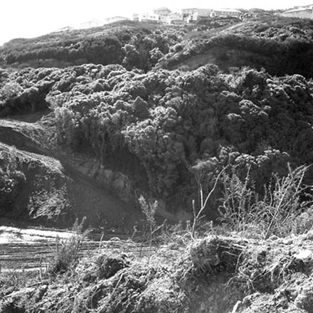 c. Walworth Road tip