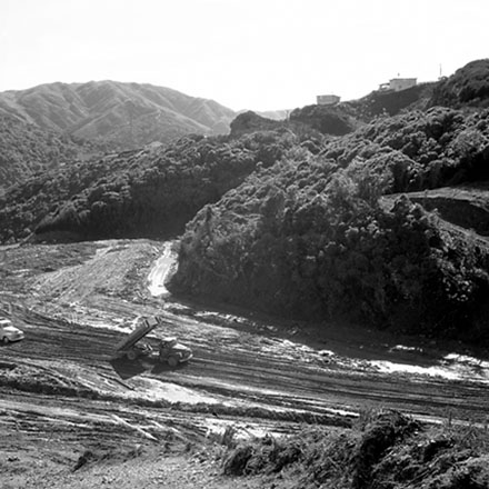 d. Walworth Road tip