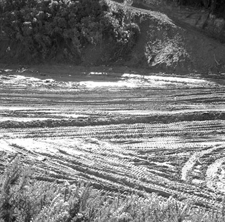 h. Walworth Road tip