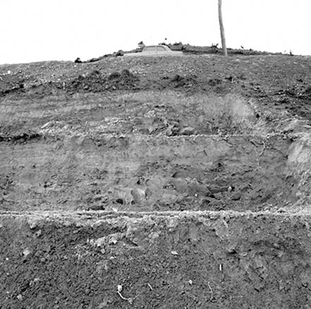 a. Undeveloped land, Fox Street