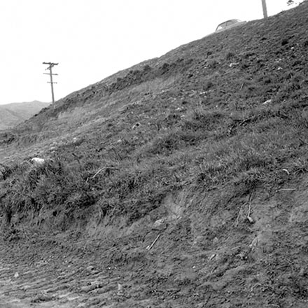 b. Undeveloped land, Fox Street