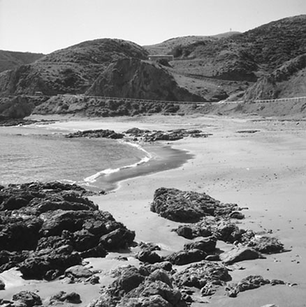 b. Seascape, Princess Bay