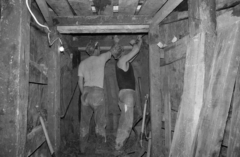 g. Drainage work, diversion of main interceptor Sydney Street West, sewer diversion and overflow Whitmore and Featherston Street, and Thorndon Quay Transport Terminal, stormwater