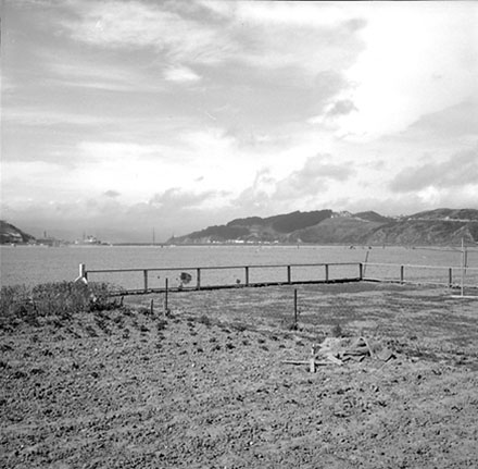 a. Section, no. 6 Kemp Street, Kilbirnie