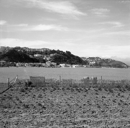 b. Section, no. 6 Kemp Street, Kilbirnie