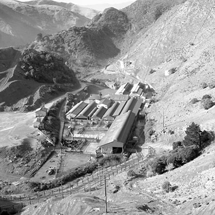 k. Kiwi Point Quarry and Abattoir