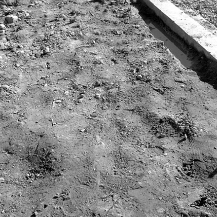 a. Accident site/Streetscape, Wellington Road, Evans Bay.