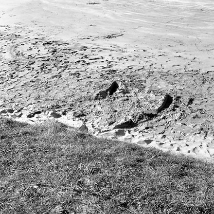 a. Tracks, Worser Bay Beach