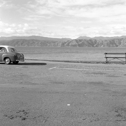 c. Tracks, Worser Bay Beach