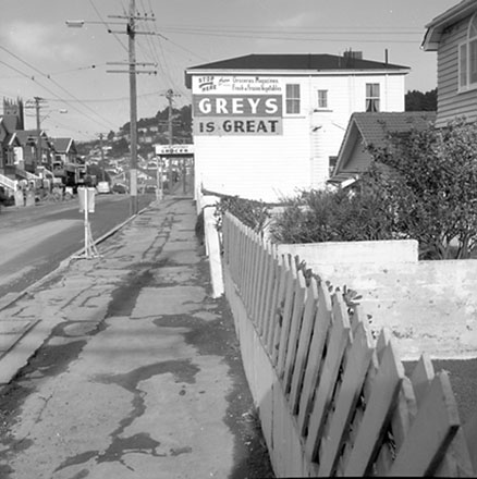 e. Streetscape, Moxham Avenue, Hataitai