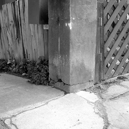 i. Streetscape, Moxham Avenue, Hataitai