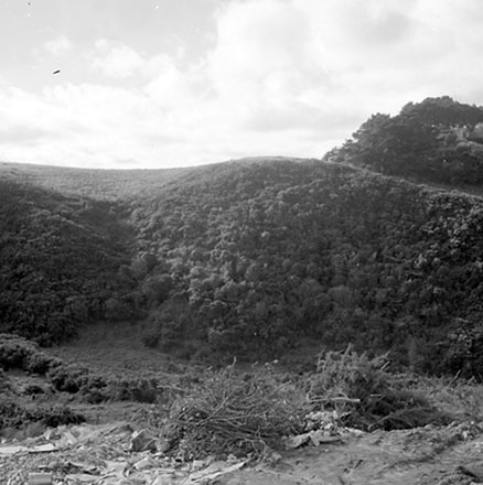 d. Panorama/Streetscape, Burma Road, Raroa
