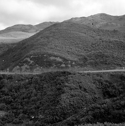 g. Panorama/Streetscape, Burma Road, Raroa