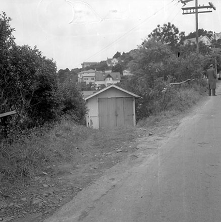 a. Streetscape, Sefton Street, Wadestown