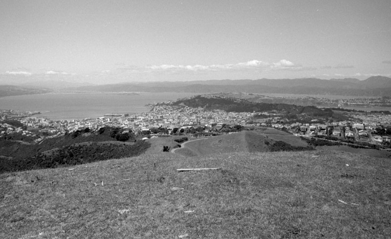 b. Panorama from Brooklyn Hills, Part 2 of 6 of panorama