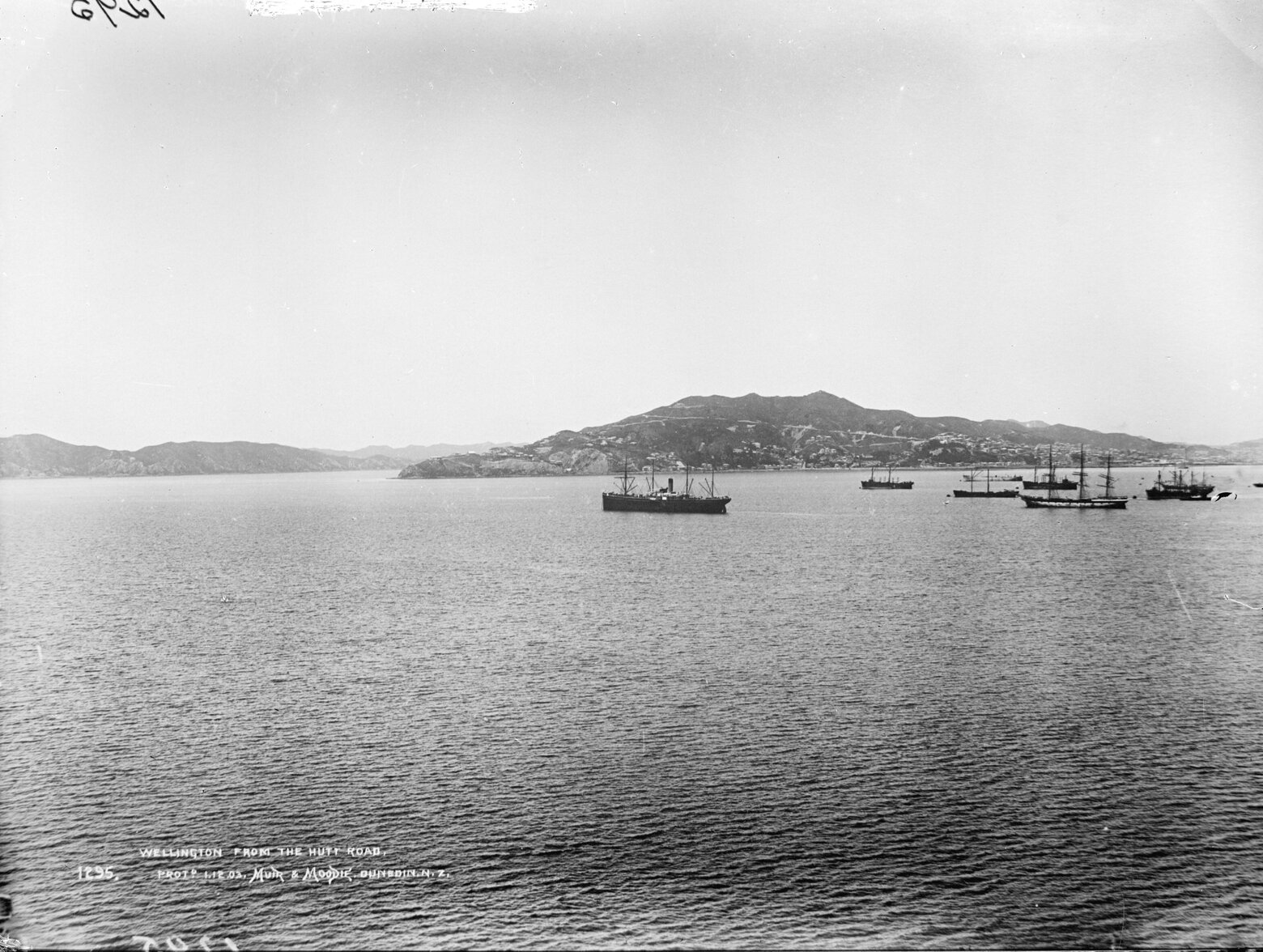 Harbour from Hutt Road